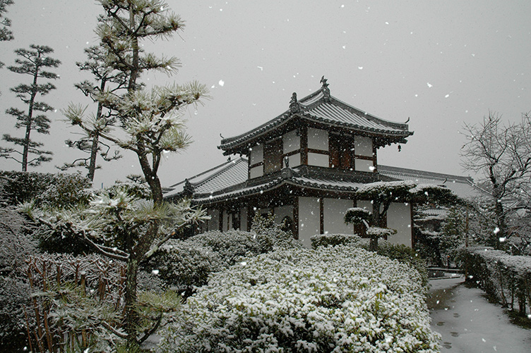 雪の法雲寺