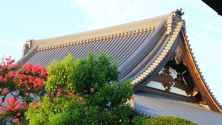 浄谷寺の本堂