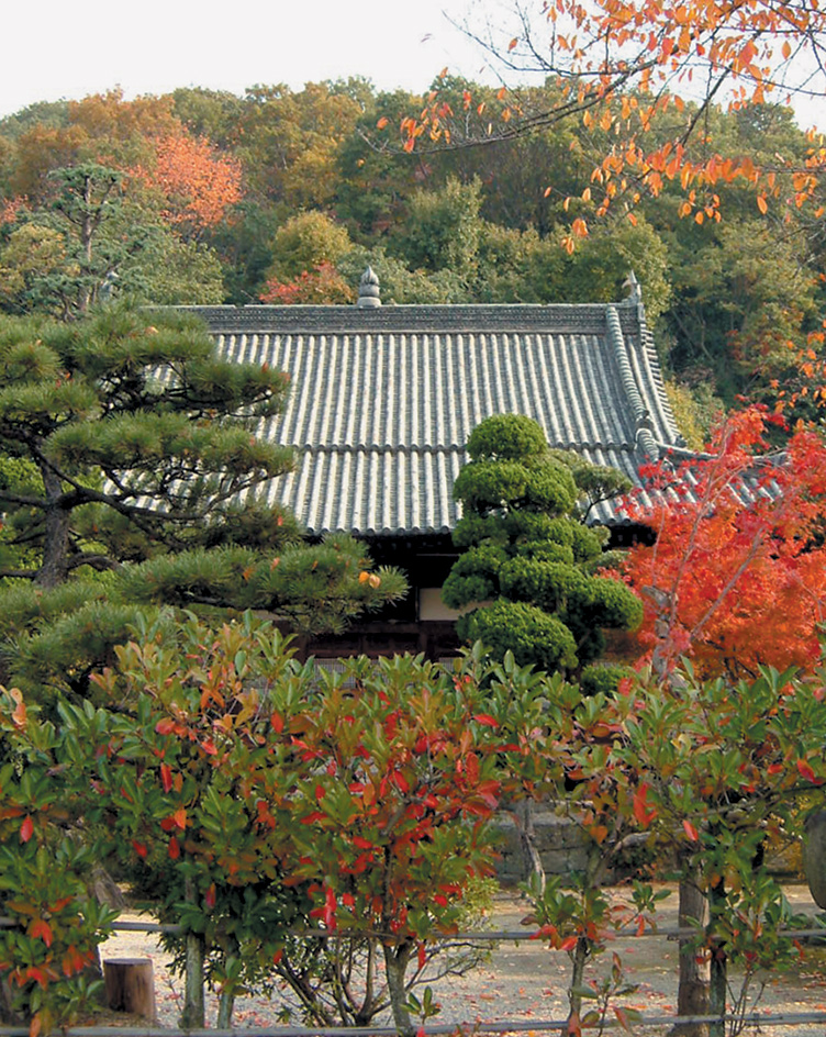 秋の大龍寺